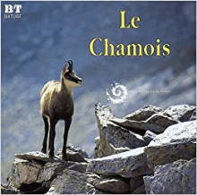 Le Chamois